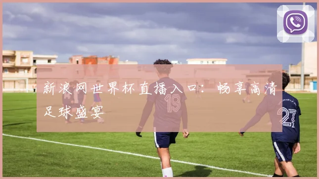 新浪网世界杯直播入口：畅享高清足球盛宴